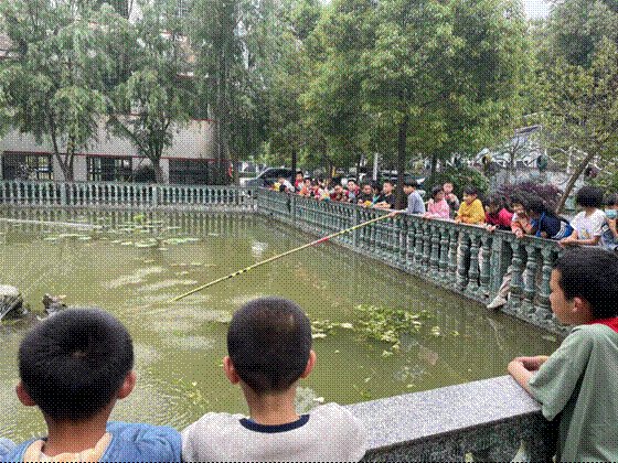 安全护航，预防溺水—新宁县清江桥乡中间小学开展防溺水安全教育系列运动