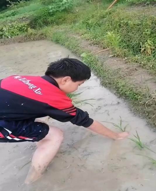 “劳动最光荣，奋斗最幸福”——横溪初级中学劳动教育运动报道