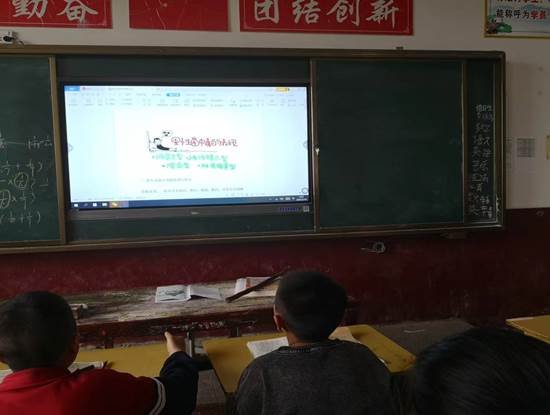 洞口县茶场黉舍开展预防野生蘑菇中毒宣教安全教育