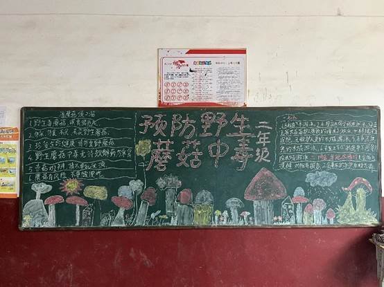 洞口县茶场黉舍开展预防野生蘑菇中毒宣教安全教育