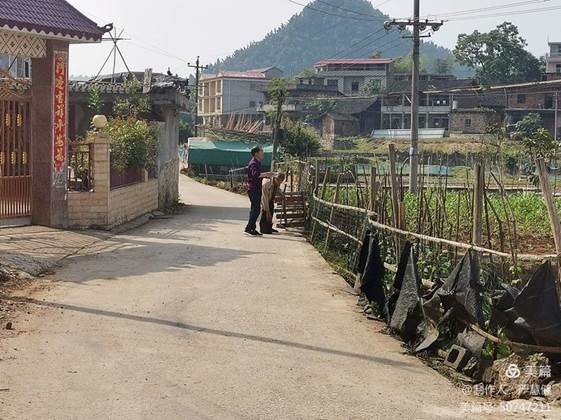 走在家访路上———洞口九中家访纪实