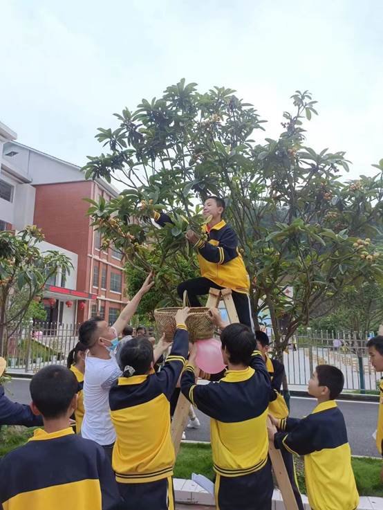农疗康复身心健，共赏枇杷一树金——邵阳县特别教育黉舍成功举办枇杷文化节