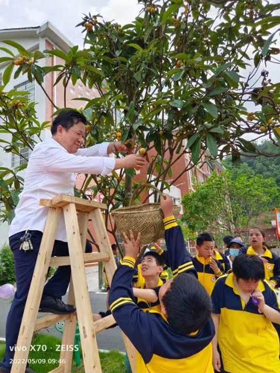 农疗康复身心健，共赏枇杷一树金——邵阳县特别教育黉舍成功举办枇杷文化节