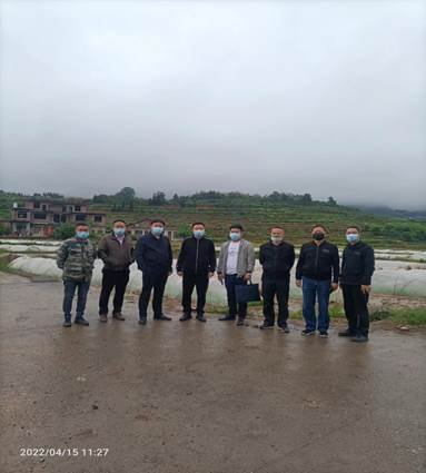 省市向导调研推进新宁县清江桥乡粮食生产工作