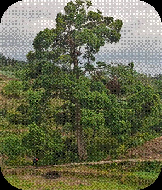 爱惜生命，预防溺水——黄塘大禾里黉舍防溺水“千师访万户”运动