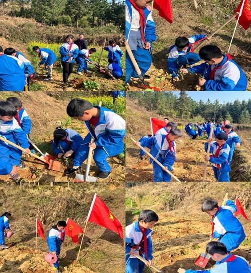 种一棵小树，净一方绿土——金称市镇中间完小3·12植树运动