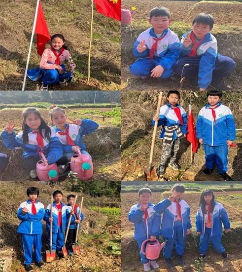 种一棵小树，净一方绿土——金称市镇中间完小3·12植树运动