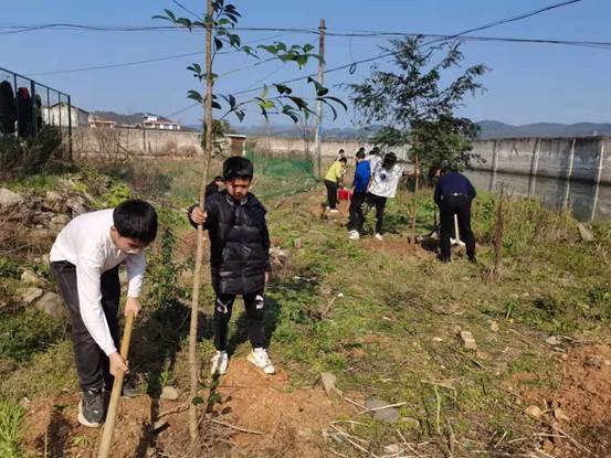 湖南新宁县白沙中学2022植树运动