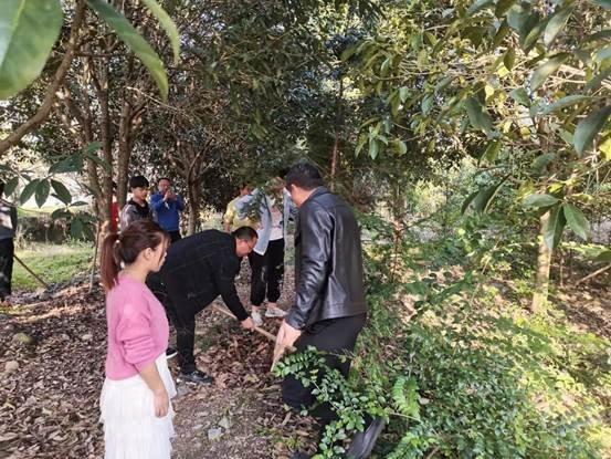 湖南新宁县白沙中学2022植树运动