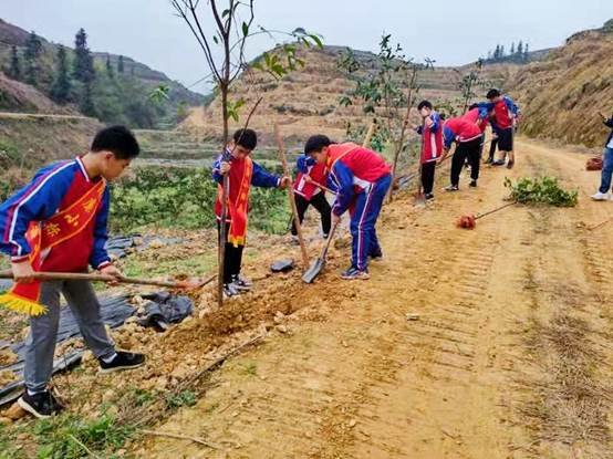 洞口县花古中学开展任务植树运动
