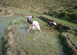 记新宁县教育局驻黄龙镇粗石村扶贫工作队