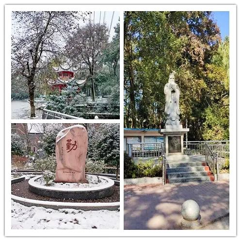 心系桑梓,崇文重教——新宁二中学子回馈母校小记