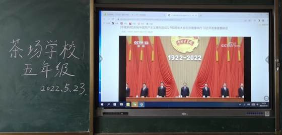 洞口县茶场黉舍开展“喜迎二十大，争做好队员”主题队运动