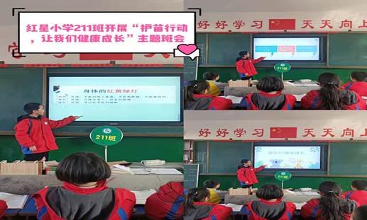 武冈市红星小学开展“护苗举措，让我们健康成长”主题班会运动