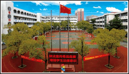 劳动教育第2期校园童耕场圃劳作记║观察蔬菜生长 学习耕种技术