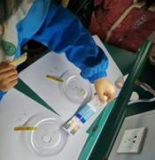 邵阳县金称市镇中间完全小学青少年科学调查体验运动获全国“良好黉舍”奖