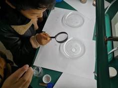 邵阳县金称市镇中间完全小学青少年科学调查体验运动获全国“良好黉舍”奖