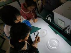 邵阳县金称市镇中间完全小学青少年科学调查体验运动获全国“良好黉舍”奖