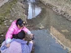 邵阳县金称市镇中间完全小学青少年科学调查体验运动获全国“良好黉舍”奖