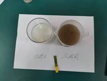 邵阳县金称市镇中间完全小学青少年科学调查体验运动获全国“良好黉舍”奖