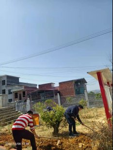 拥抱春天，播种绿色 新宁县白沙镇中间小学开展植树节运动