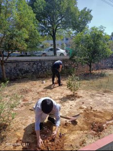 拥抱春天，播种绿色 新宁县白沙镇中间小学开展植树节运动