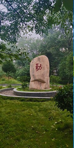 我在新宁二中当实习教师