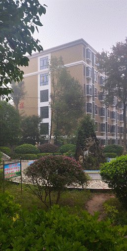 我在新宁二中当实习教师