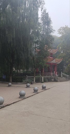 我在新宁二中当实习教师