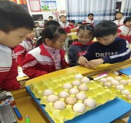 开展教研教改运动 提拔教师专业素养