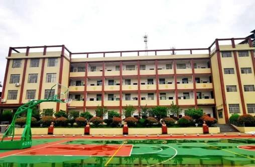 金称市镇中间完小实验教学说课运动圆满落幕