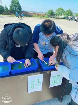 落实双减要求，进步科学素养