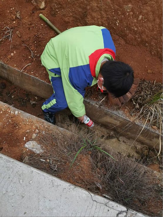 洞口县茶场黉舍进行“我为社会做贡献”学雷锋运动