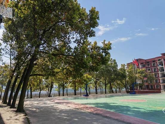 烈士坟茔心长存，寄哀何用入山林——金称市镇中学2022年清明网上祭奠英烈运动