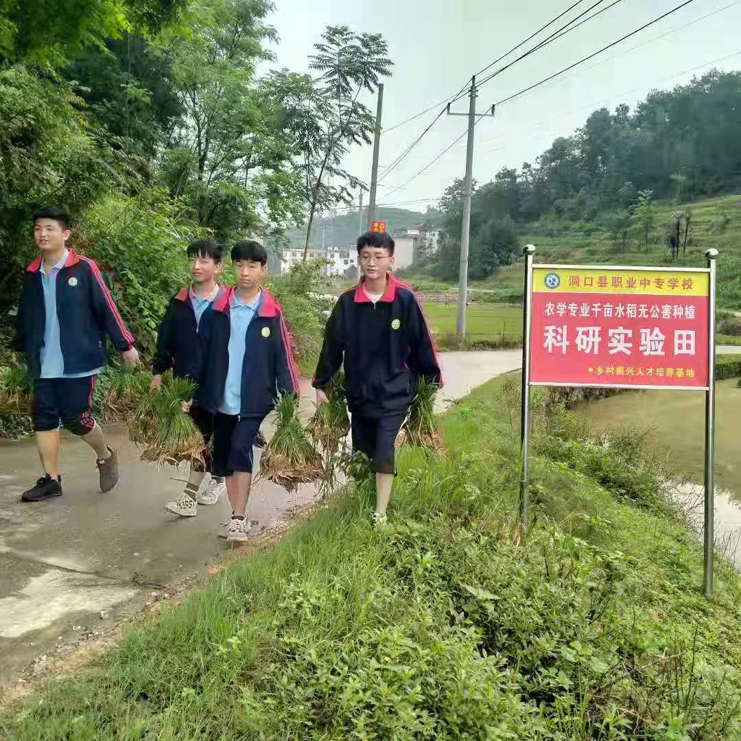 墟落振兴  富民强国—洞口职业中专黉舍增强农业农村生态科学发展