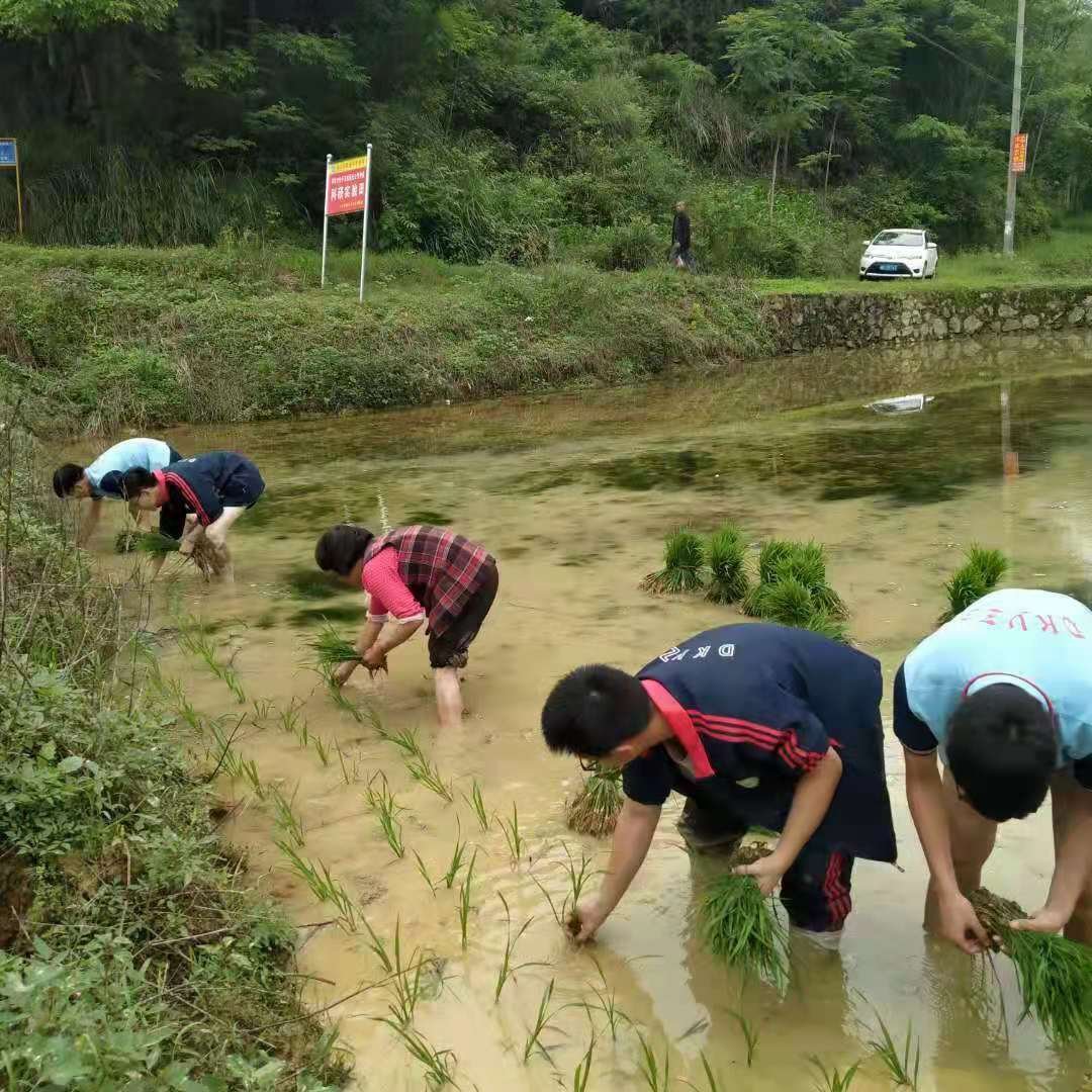墟落振兴  富民强国—洞口职业中专黉舍增强农业农村生态科学发展