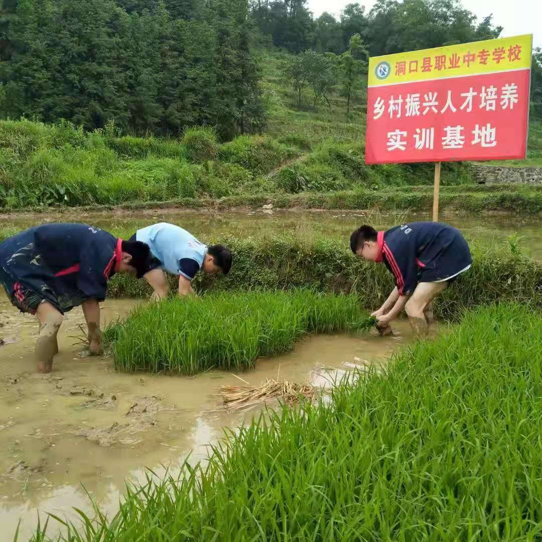 墟落振兴  富民强国—洞口职业中专黉舍增强农业农村生态科学发展