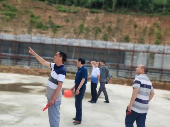 山门镇横溪片中小学党支部开展