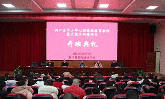 以心育心，树心树形——洞口县中小学生理健康教育教师能力提拔培训班