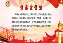 同创无毒校园，共享幸福生活