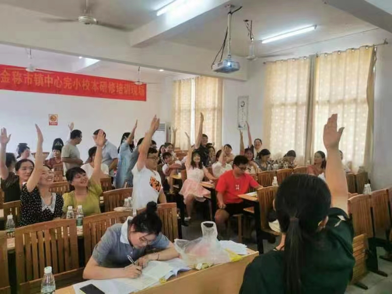 筑牢安全屏障，守护校园平安——金称市镇中心完小教师暑期培训