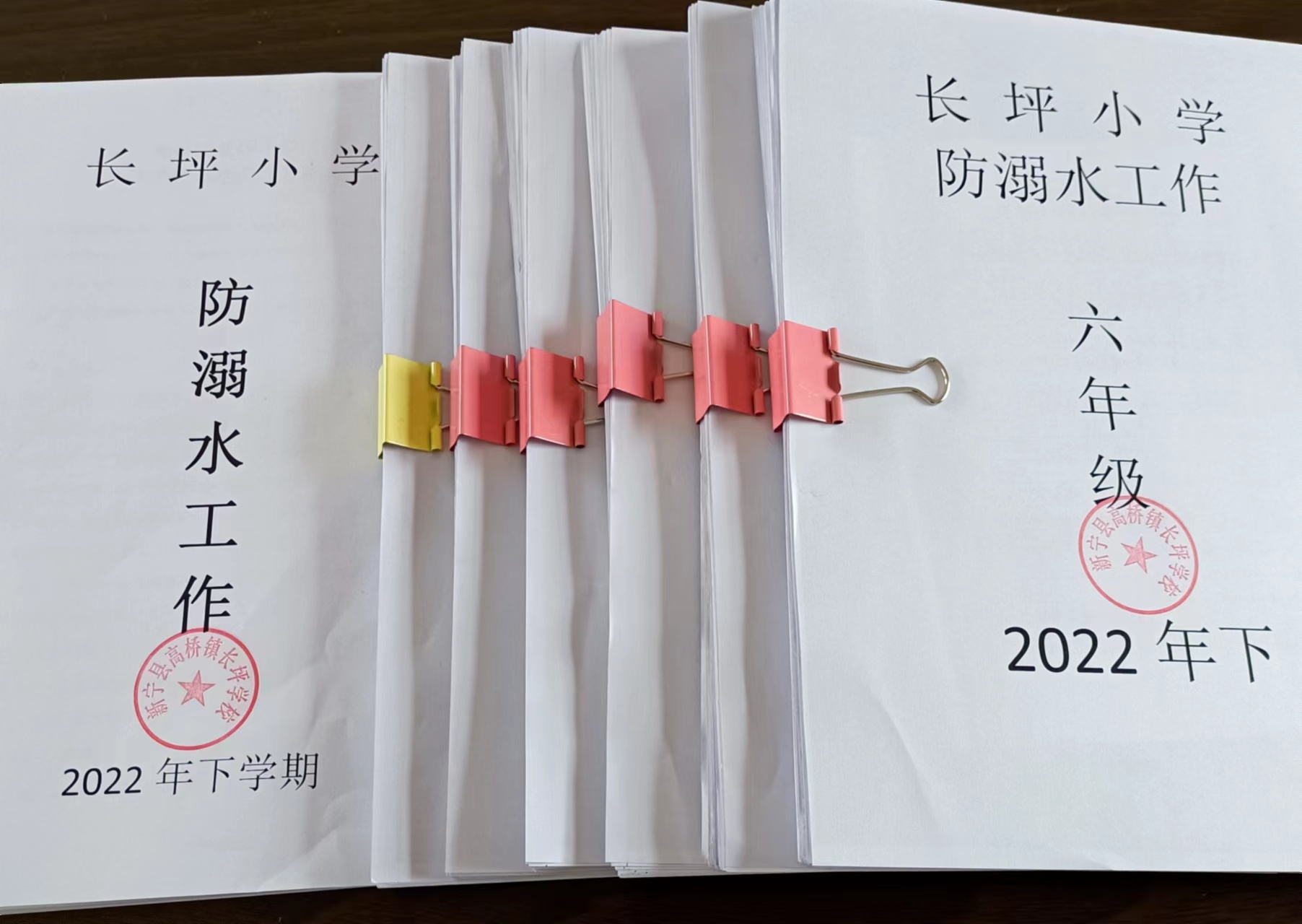 珍爱生命 预防溺水  ——新宁县高桥镇长坪小学开展防溺水宣传教育活动