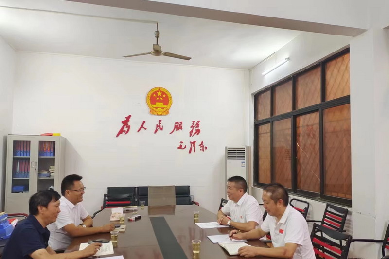学校定点帮扶，助力乡村振兴——洞口四中校长李玉群一行深入驻村帮扶点走访调研