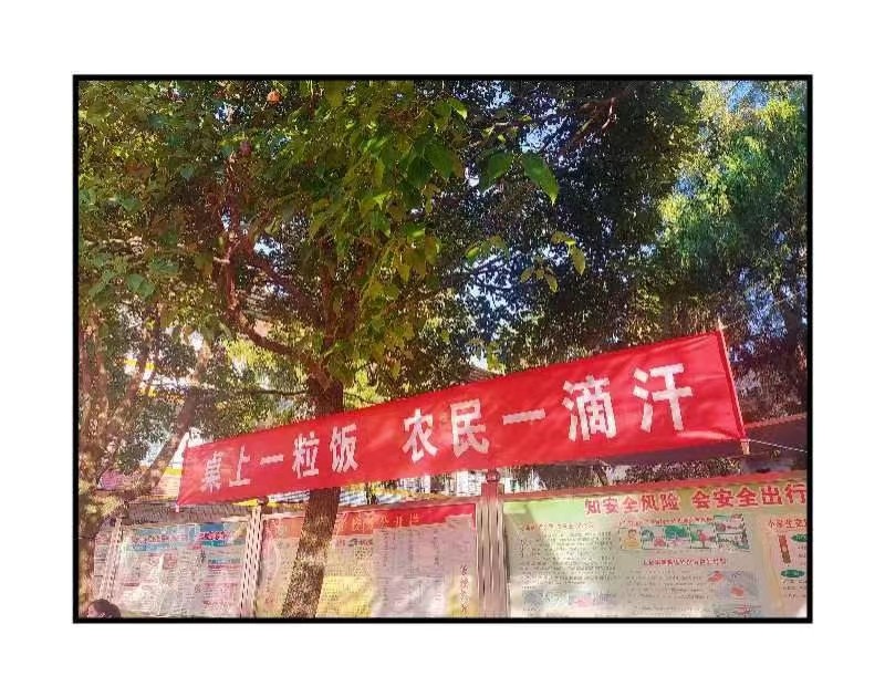 解放小学热烈庆祝第42个世界粮食日