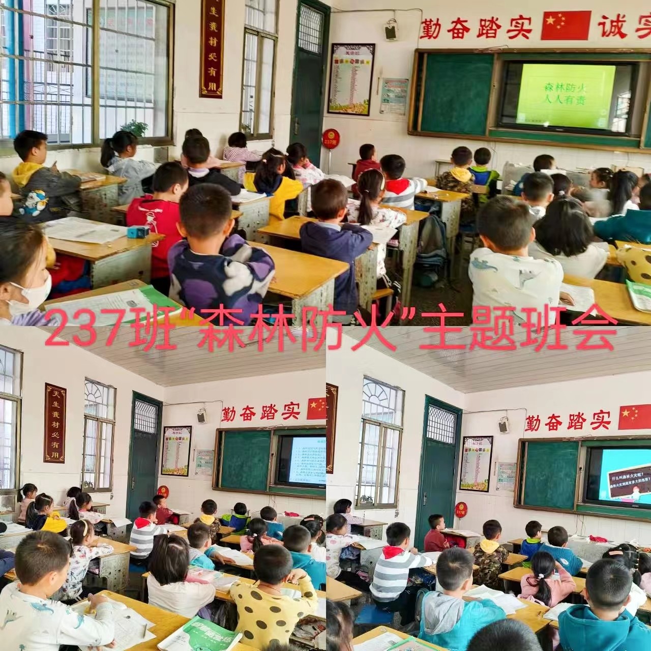 武冈市红星小学开展森林防火主题班会活动