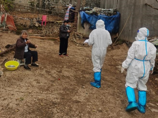 并肩战疫 、志愿同行--蔡桥乡小学联合支部志愿者  助力防疫攻坚战纪实