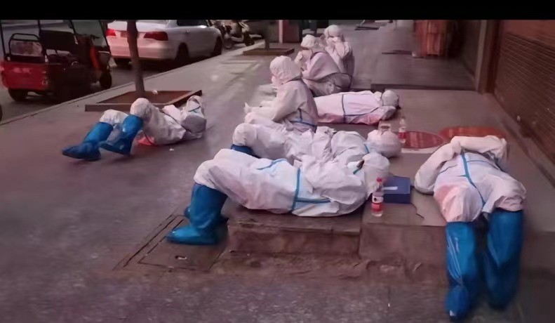 志愿服务奉献爱   抗击疫情盼曙光（二）