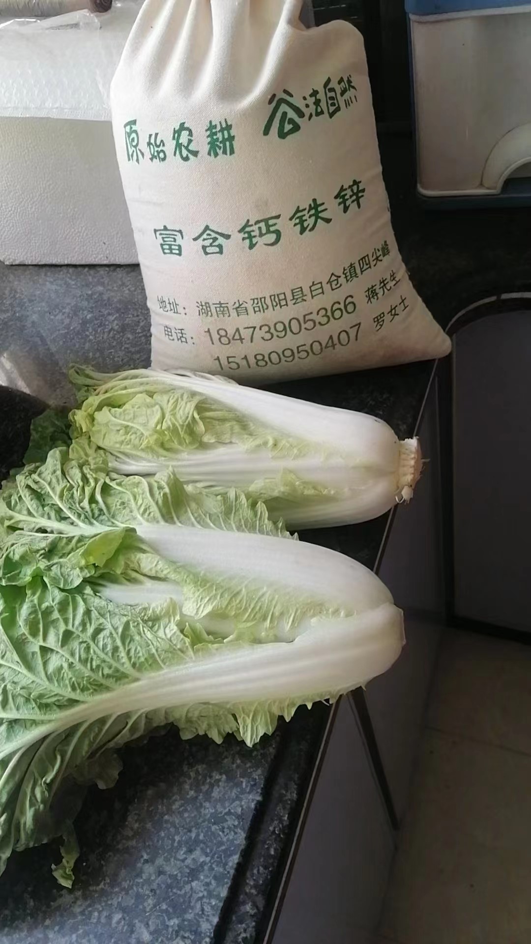 党员身先士卒，师生齐心抗疫