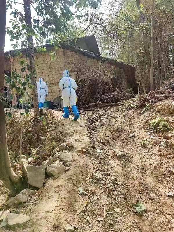 育人为师，战“疫”为士