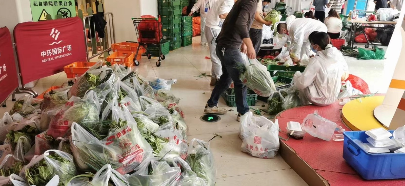 志愿逆行淬党性，以身立教显师志